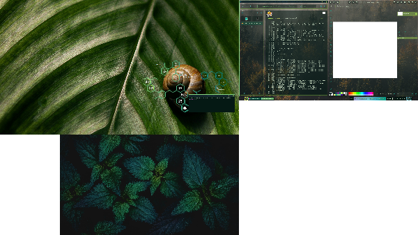 a screenshot of the webmaster's desktop which has three workstations.